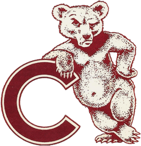 bear logo